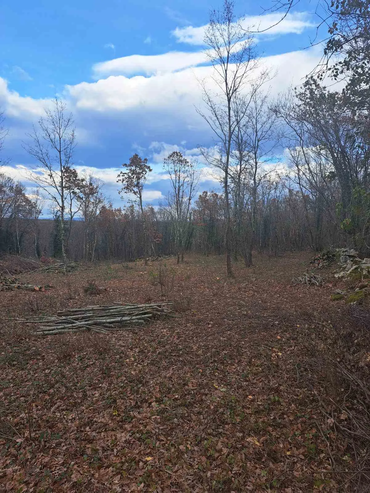 građevinsko zemljište, kringa, tinjan, istra, vel. 1150 m2 - slika 5
