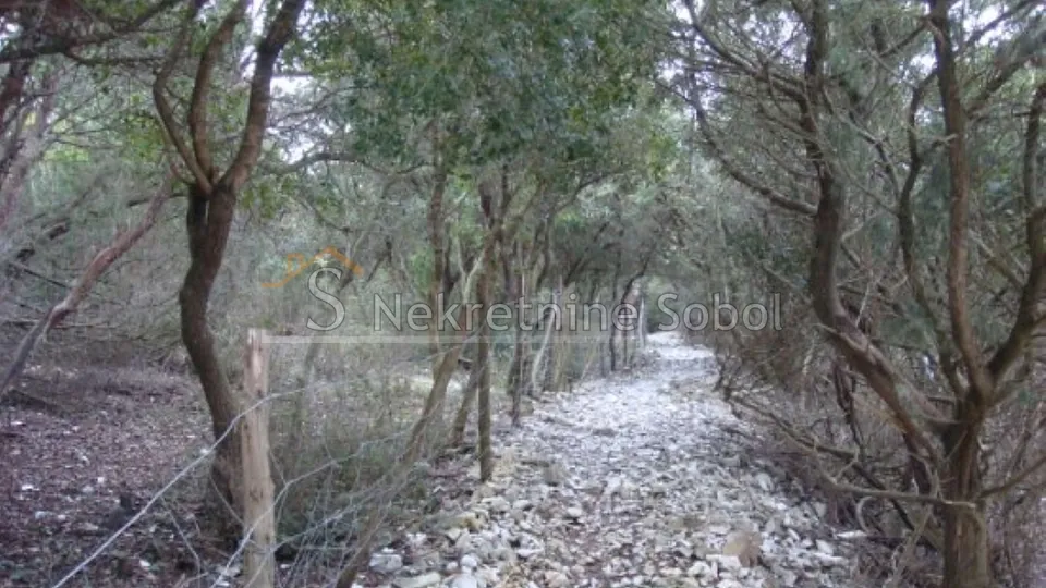 mali lošinj - poljoprivredno, 16951 m2 prodaja - slika 12