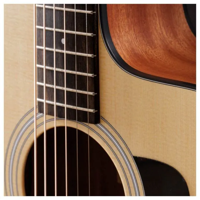 taylor 110ce-s special edition - slika 4