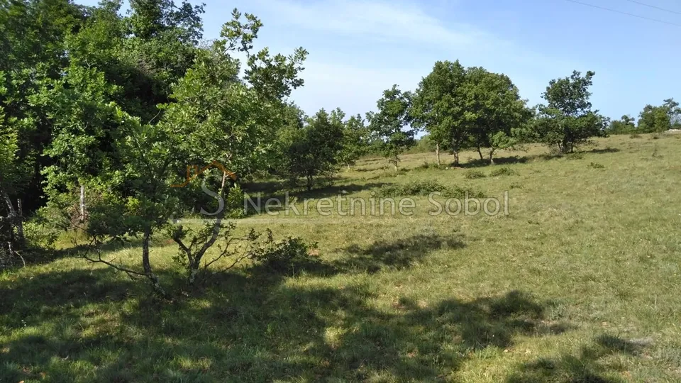 višnjan, zoričići - zemljište, 62710 m2 prodaja - slika 5