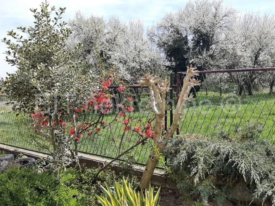 kuća prodaja srijem 150m2 (prodaja) - slika 14