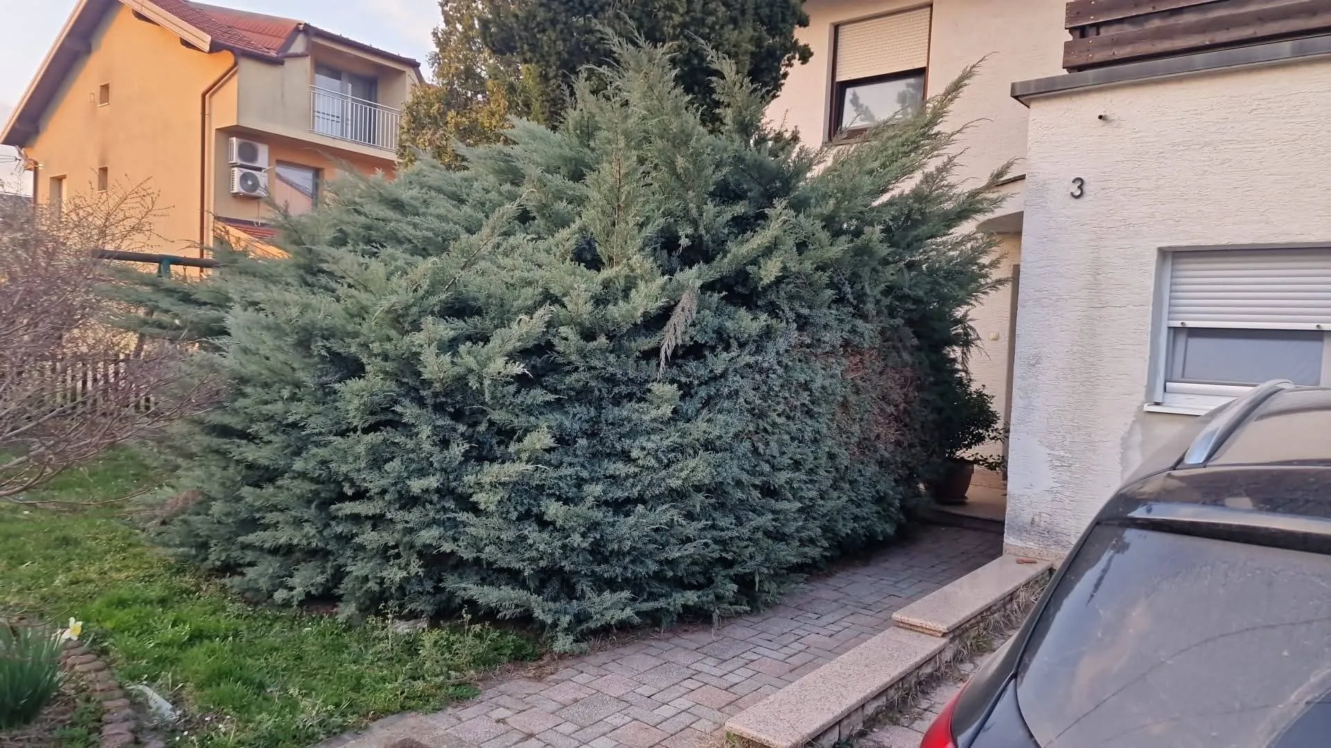 🌿 trebaš uredan i njegovan vrt bez muke? 🌿 - slika 2