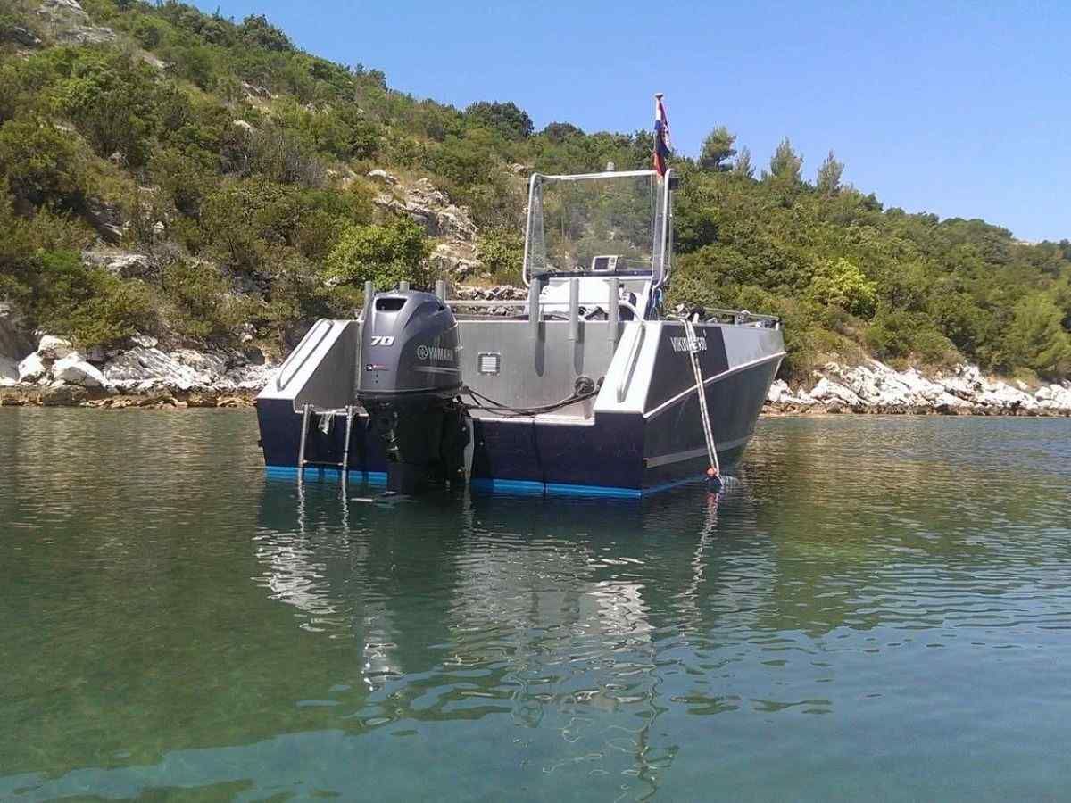 viking 550 - slika 6