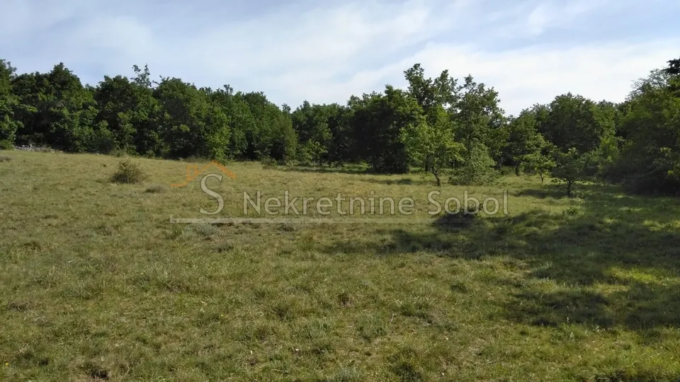 višnjan, zoričići - zemljište, 62710 m2 prodaja - slika 3