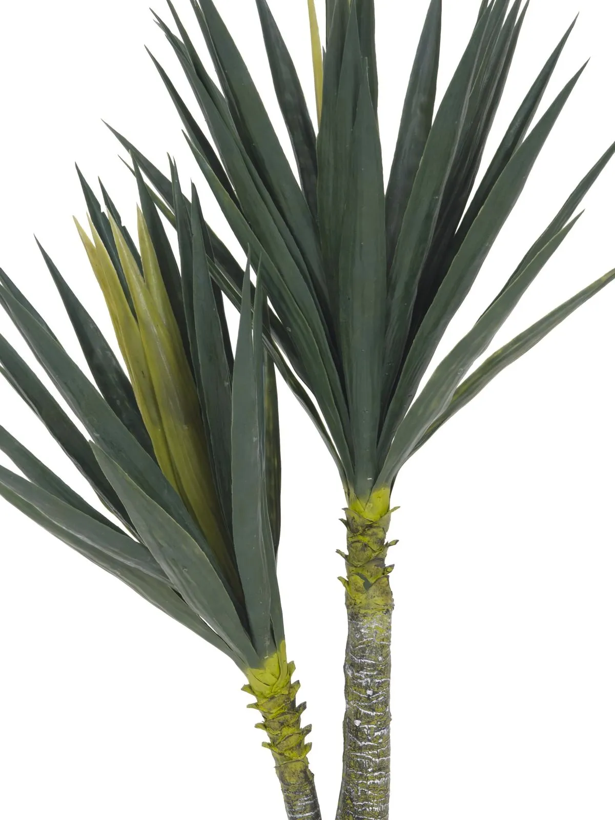 europalms yucca, 2 trunks, 115cm - slika 3