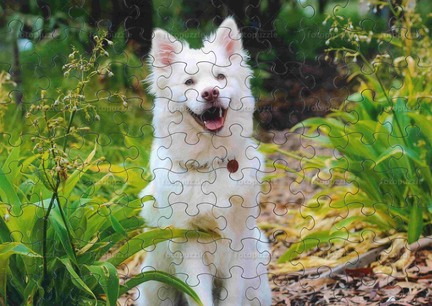 fotopuzzle a4 (90) - slika 2