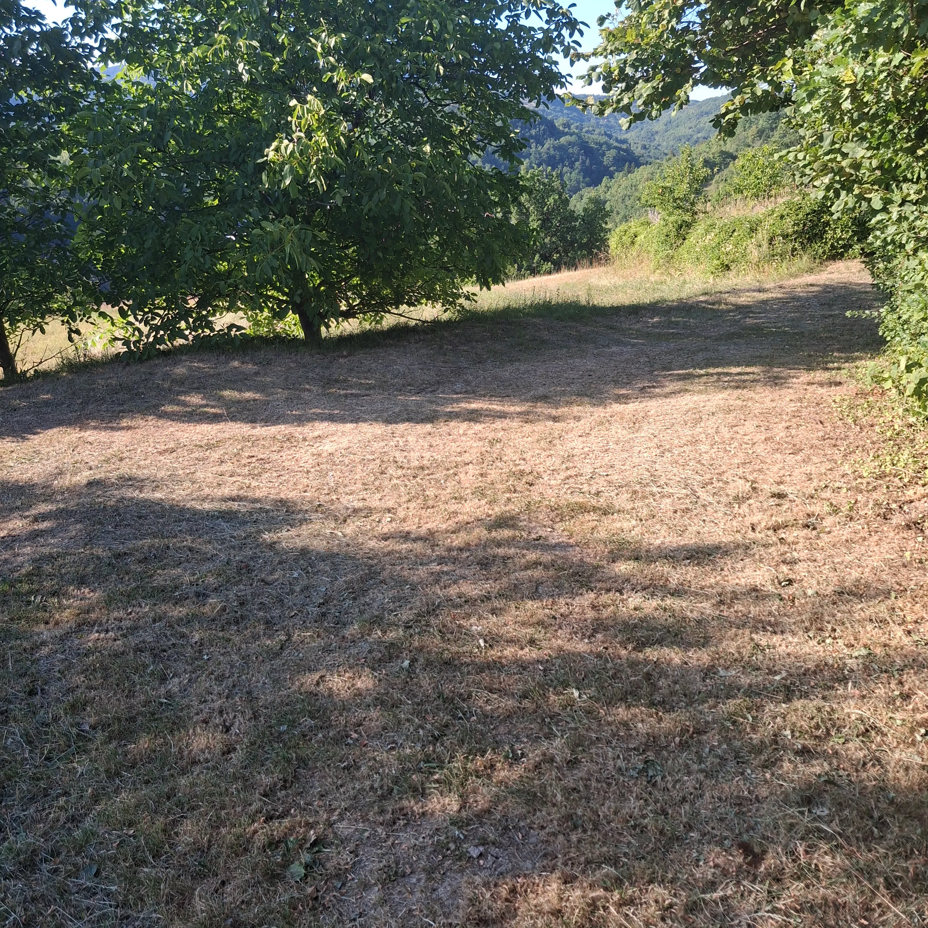 poljoprivredno zemljište - slika 12