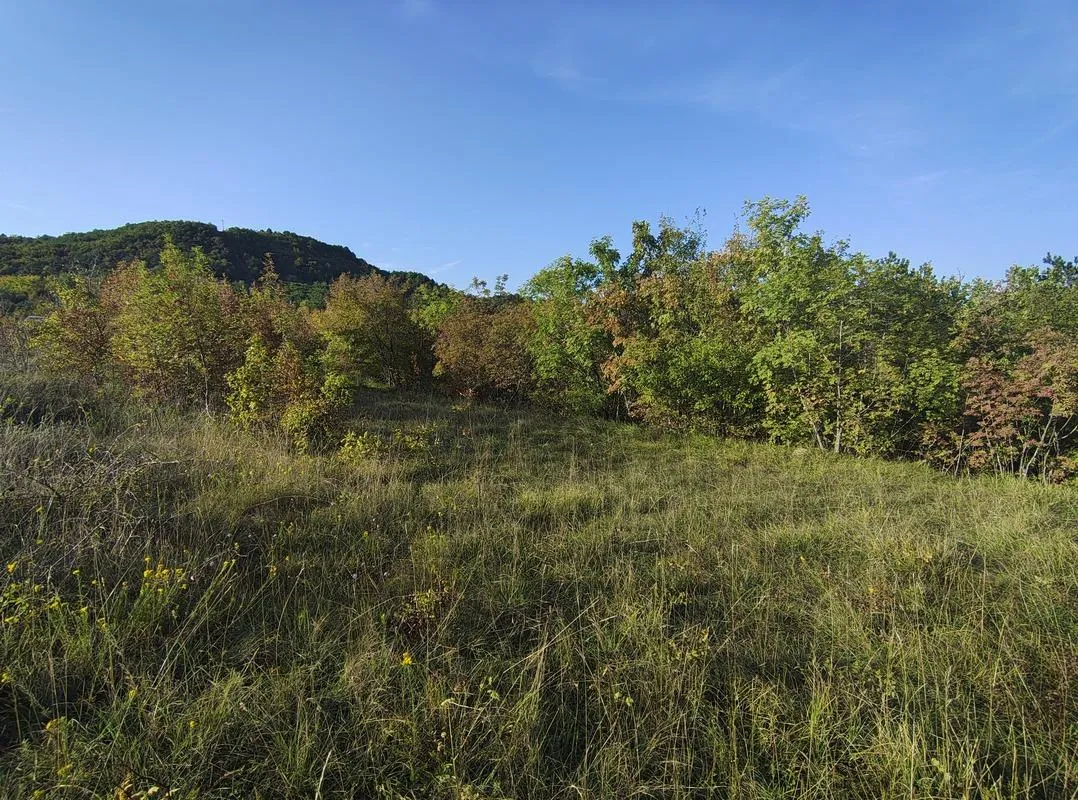 Istra Paz veliko poljoprivredno zemljište - Paz, Cerovlje