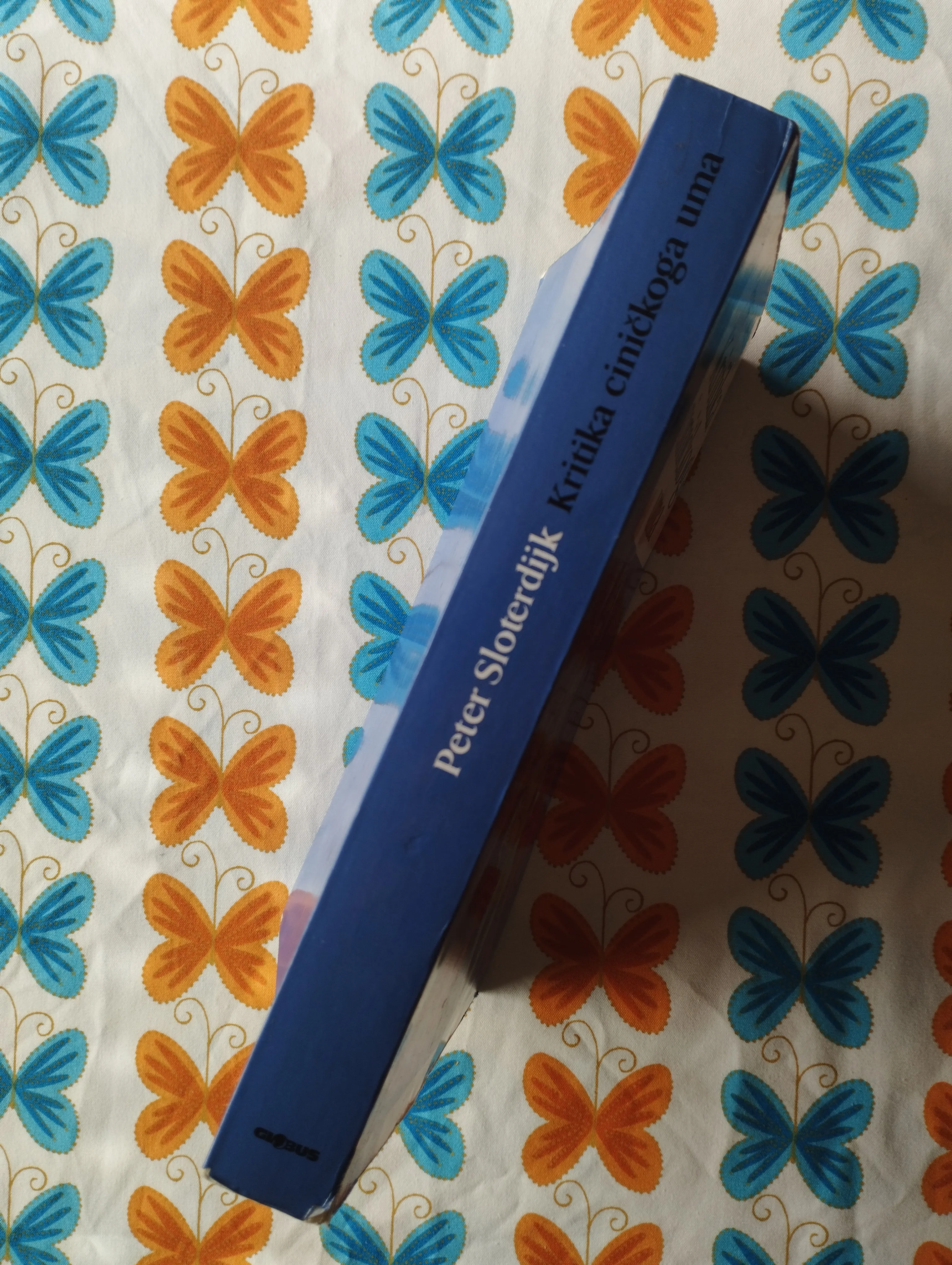 peter sloterdijk - kritika ciničkoga uma - slika 2