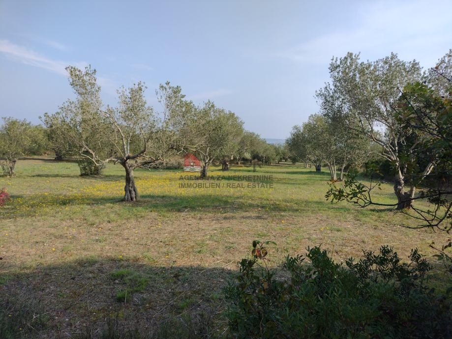 pašman-kraj, građevinsko zemljište 617m2 - slika 3