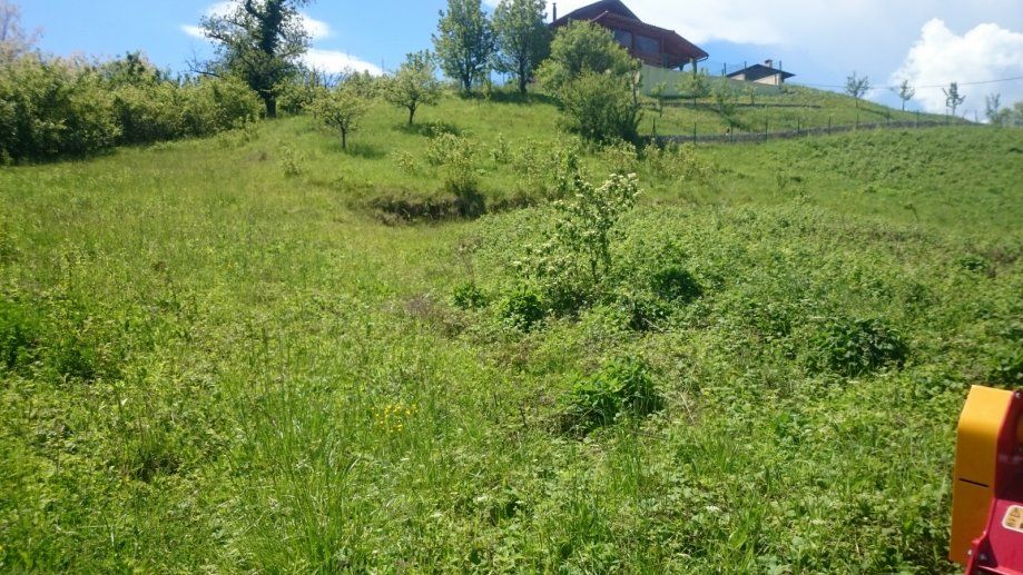 malčiranje i čišćenje zaraslih površina i terena 095/333-4444 - slika 5