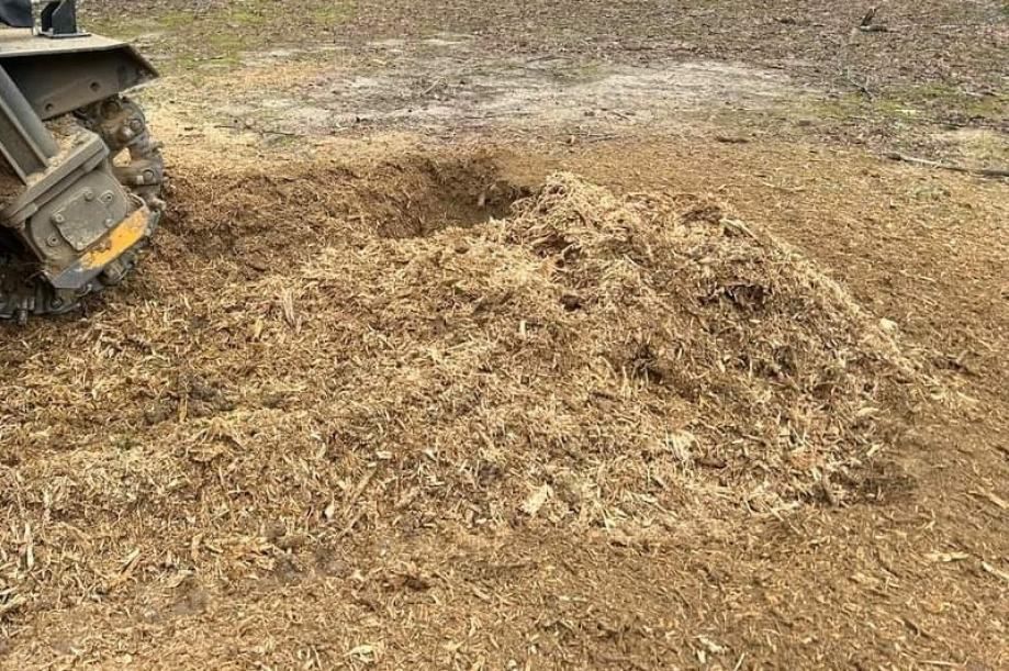 uklanjanje panjeva, usitnjavanja-drobljenja granja i drveća - slika 3
