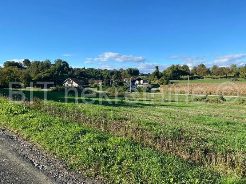zemljište prodaja vinica 13400m2 - slika 2