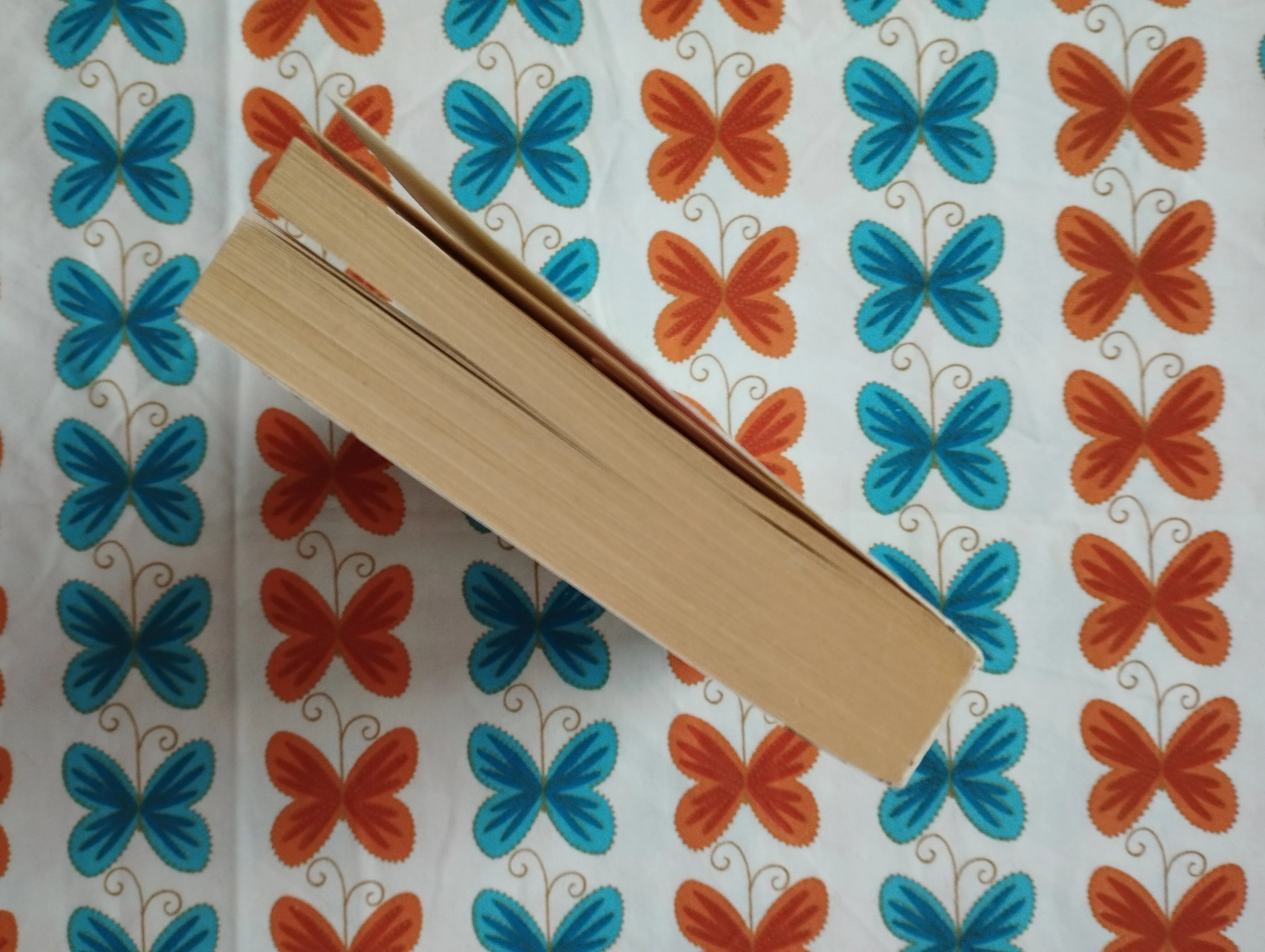 sophie kinsella - šopingholičarka ima sestru! - slika 4