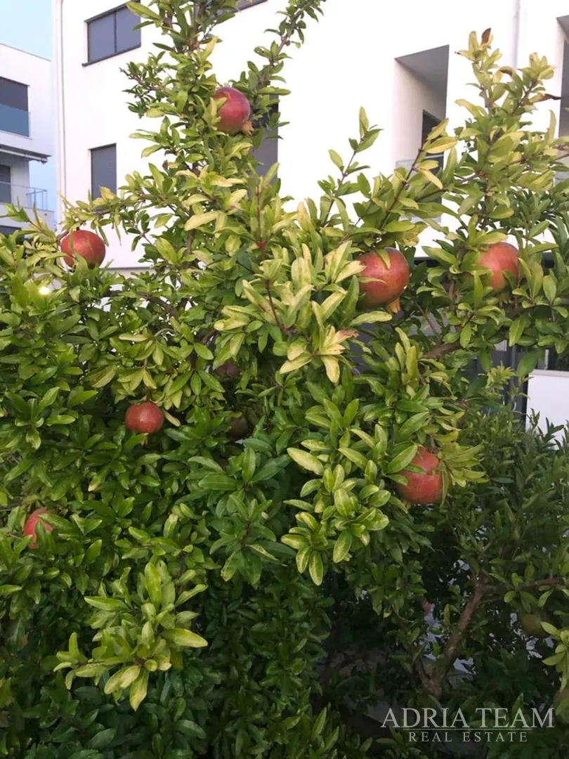 kuća s 10 apartmana, pogled na more - petrčane - slika 47