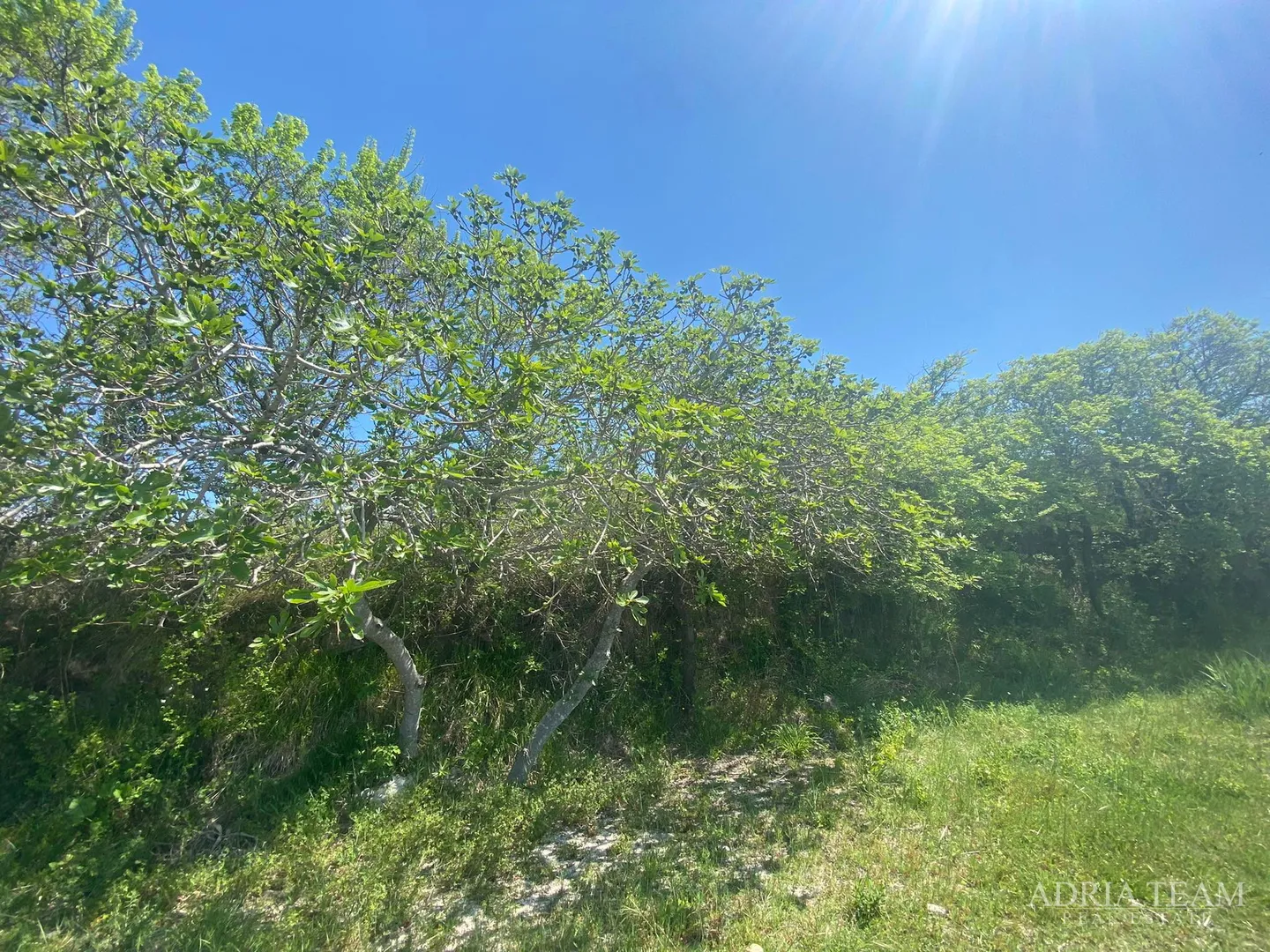 građevinsko zemljište - 1362 m2, prvi red do mora!!! izvrsna prilika! ražanac - rtina - slika 5
