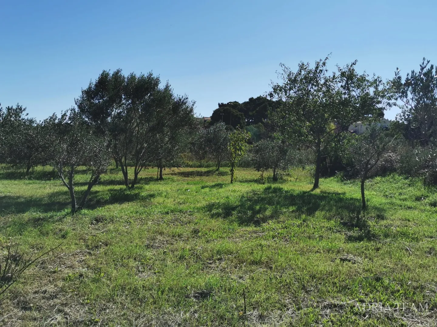 građevinsko zemljište, pravilnog oblika, 250 m od mora, pašman - dobropoljana - slika 5