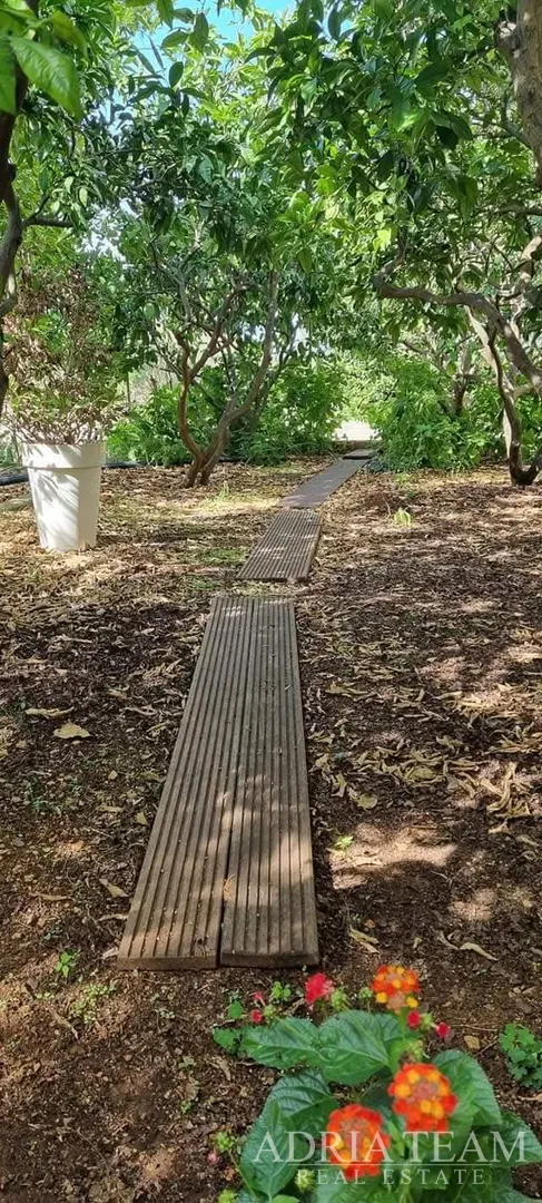prodaje se lijep jednosobni apartman s vrtom – lukoran, otok ugljan - slika 11