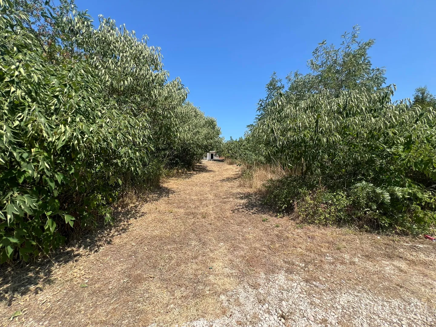 izvrsna prilika!! građevinsko zemljište - 2814 m2 - mirna i tiha pozicija! pogled na more! vrsi - zadar - slika 10