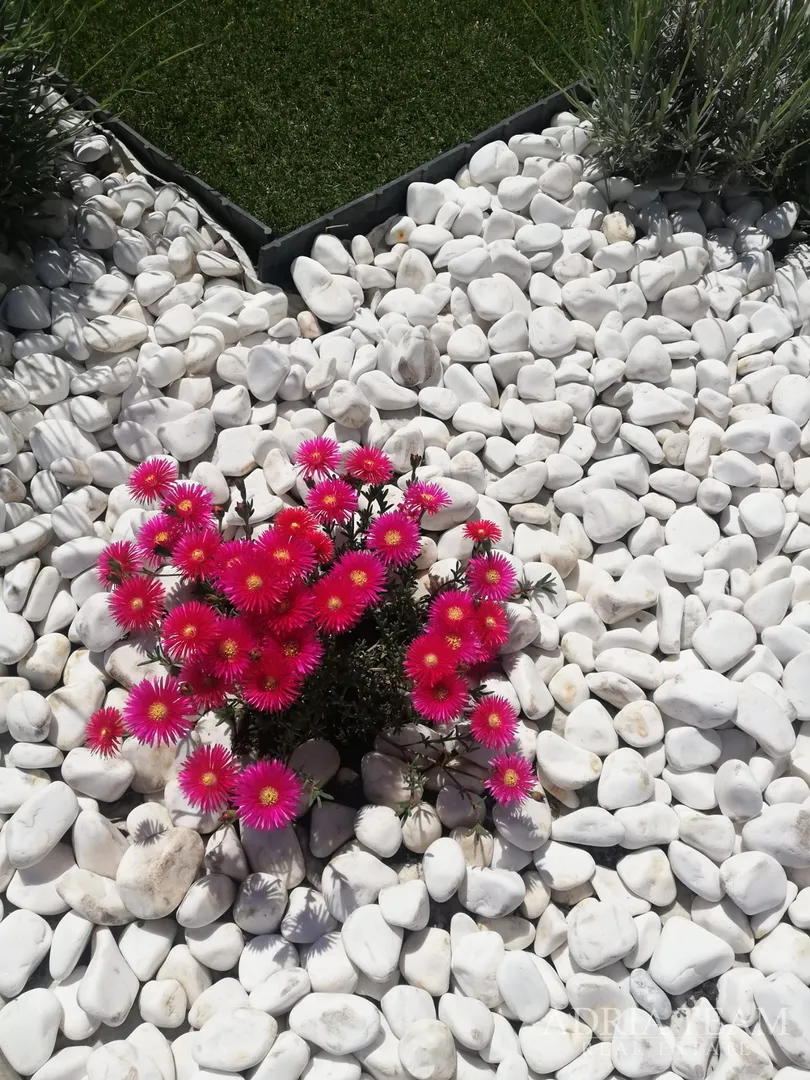 jesenska akcija! kuća za odmor s bazenom, 120 m od mora, nin - zadar - slika 71