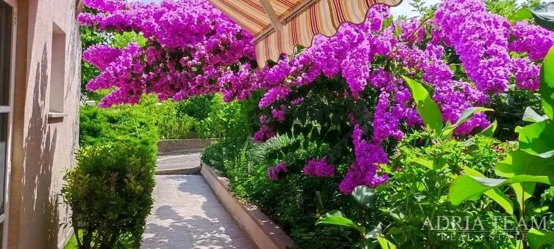 prodaje se lijep jednosobni apartman s vrtom – lukoran, otok ugljan - slika 5
