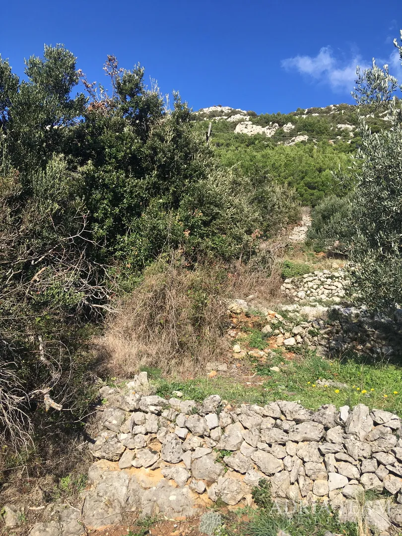 zemljište pravilnog oblika, 850 m od mora, babino polje - mljet - slika 2