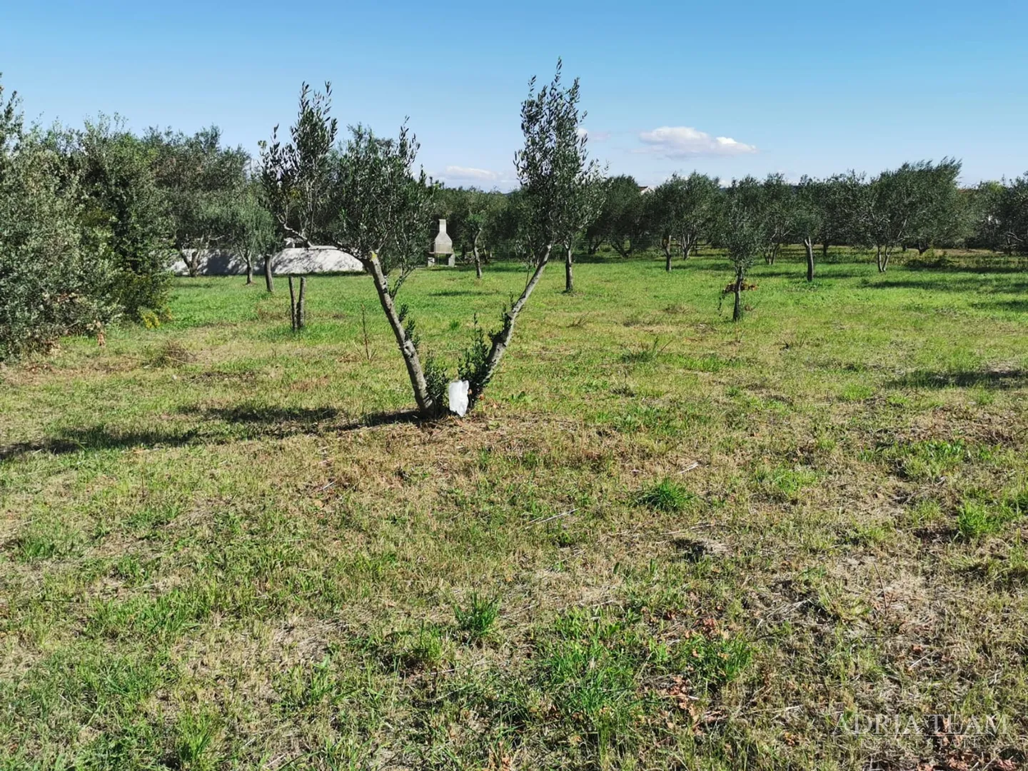 građevinsko zemljište, pravilnog oblika, 250 m od mora, pašman - dobropoljana - slika 6