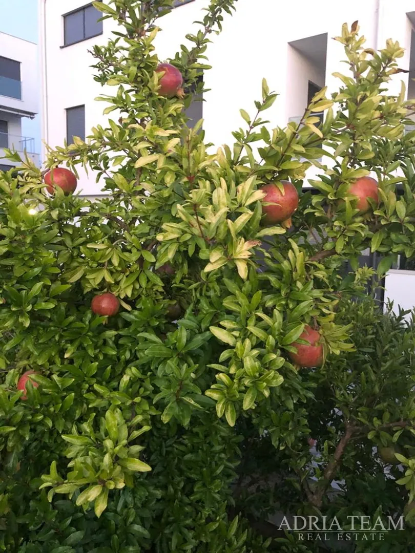 kuća s 10 apartmana, pogled na more - petrčane - slika 47