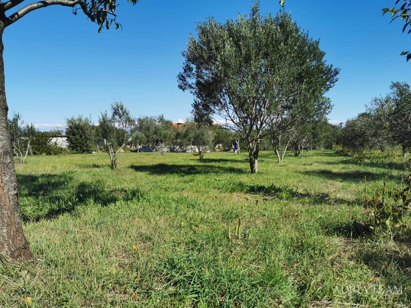 građevinsko zemljište, pravilnog oblika, 250 m od mora, pašman - dobropoljana - slika 4