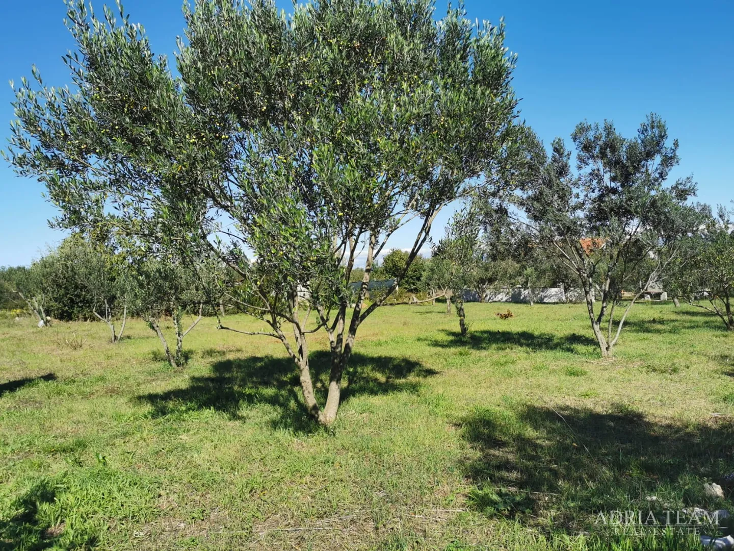 građevinsko zemljište, pravilnog oblika, 250 m od mora, pašman - dobropoljana - slika 3