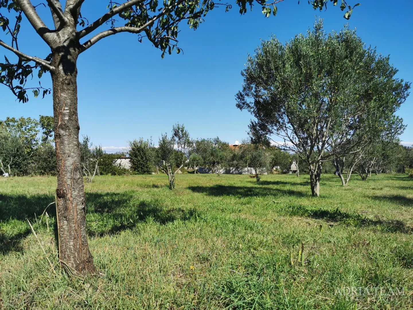 građevinsko zemljište, pravilnog oblika, 250 m od mora, pašman - dobropoljana - slika 8
