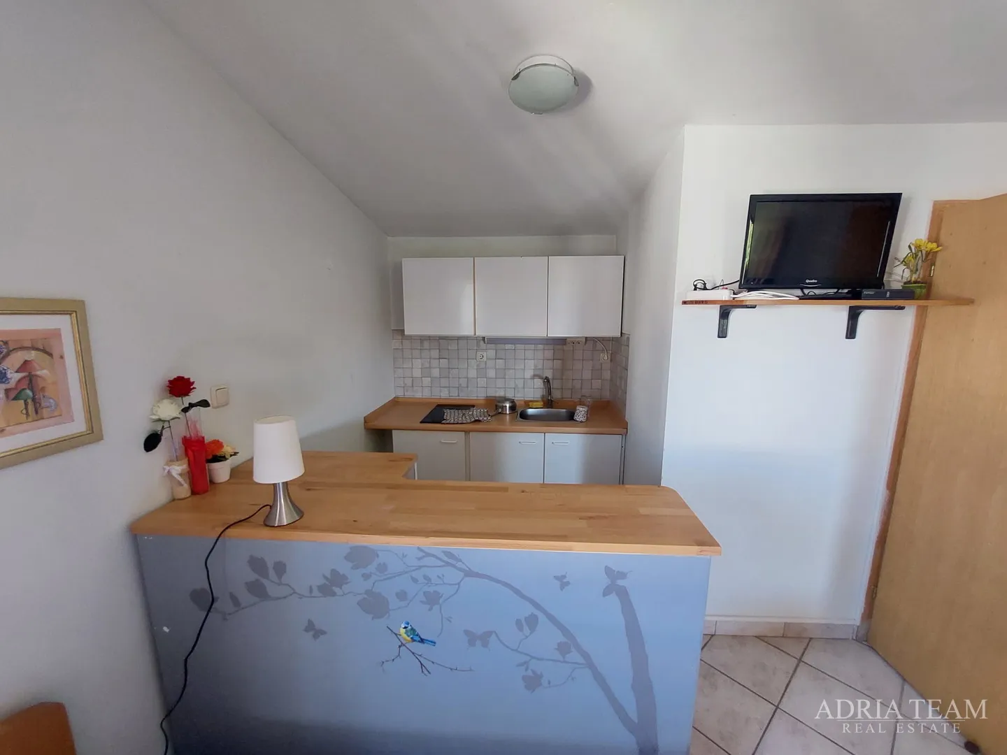 apartmanska kuća s velikim dvorištem, mirna i tiha pozicija - vir - slika 19