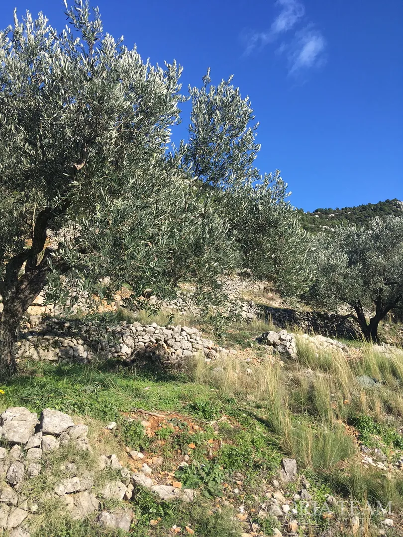 zemljište pravilnog oblika, 850 m od mora, babino polje - mljet - slika 3