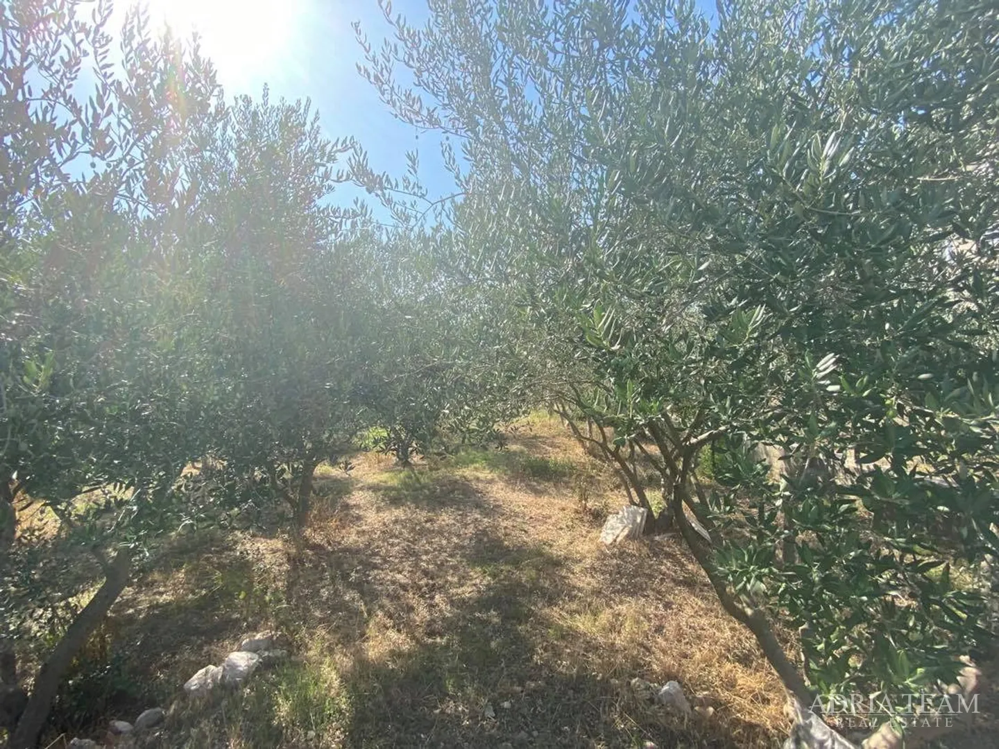 građevinsko zemljište, izvrsna pozicija!! 350 m od mora, zadar - slika 4