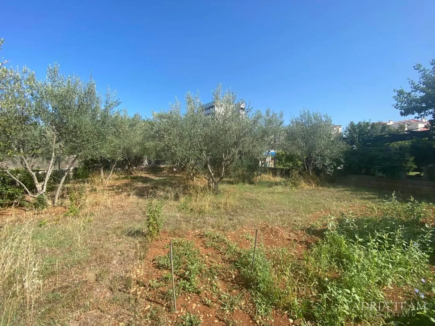 građevinsko zemljište, izvrsna pozicija!! 350 m od mora, zadar - slika 2