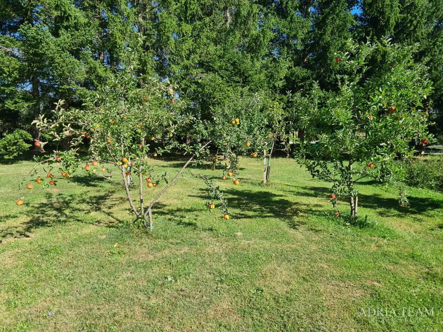 luksuzna vila s grijanim bazenom i natkrivenom terasom - 10 000 m2 zemljišta! - slika 42