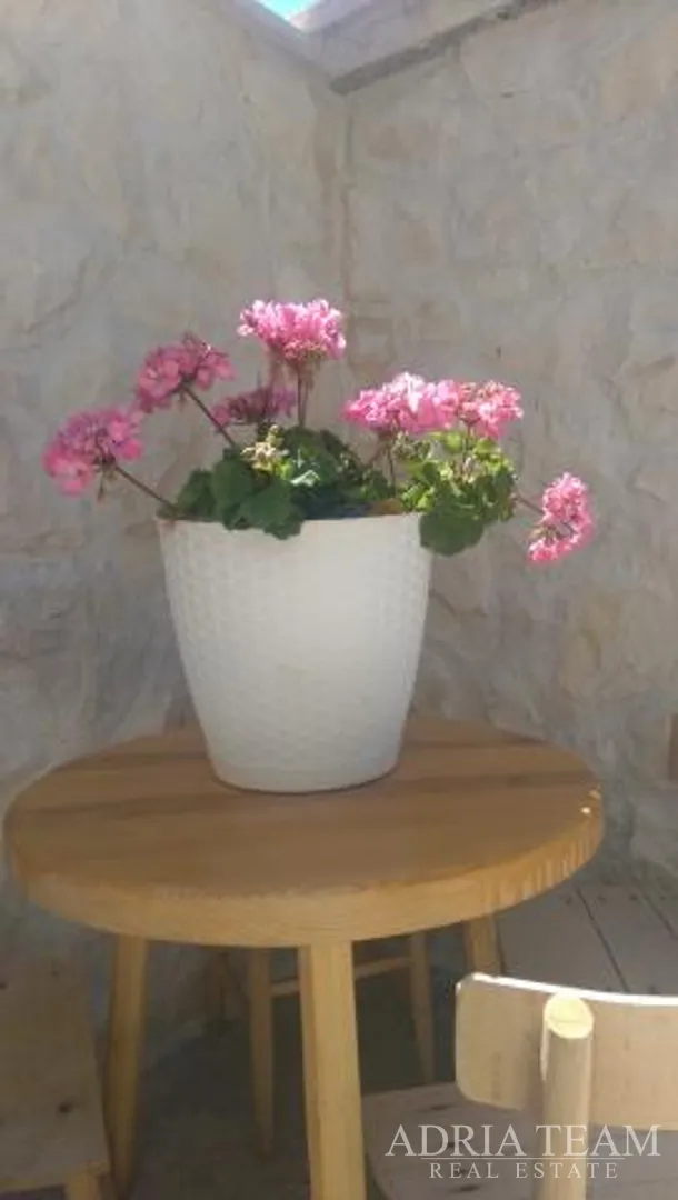 apartmanska kuća sa 7 apartmana, privlaka - slika 16