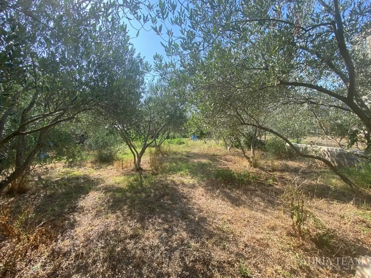 građevinsko zemljište, izvrsna pozicija!! 350 m od mora, zadar - slika 3