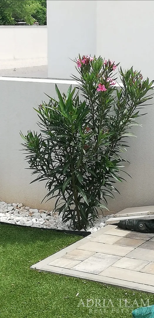 jesenska akcija! kuća za odmor s bazenom, 120 m od mora, nin - zadar - slika 72