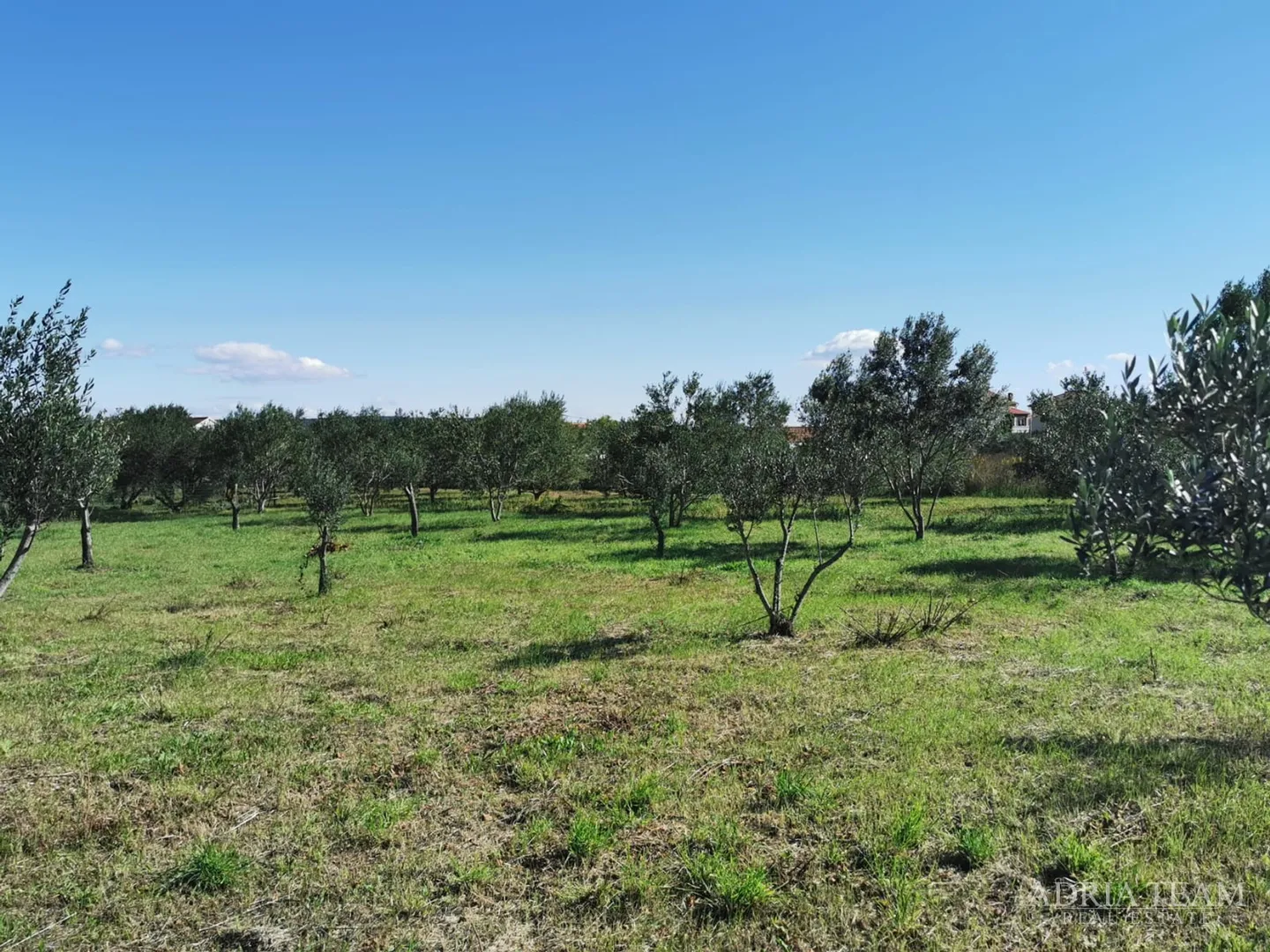 građevinsko zemljište, pravilnog oblika, 250 m od mora, pašman - dobropoljana - slika 7