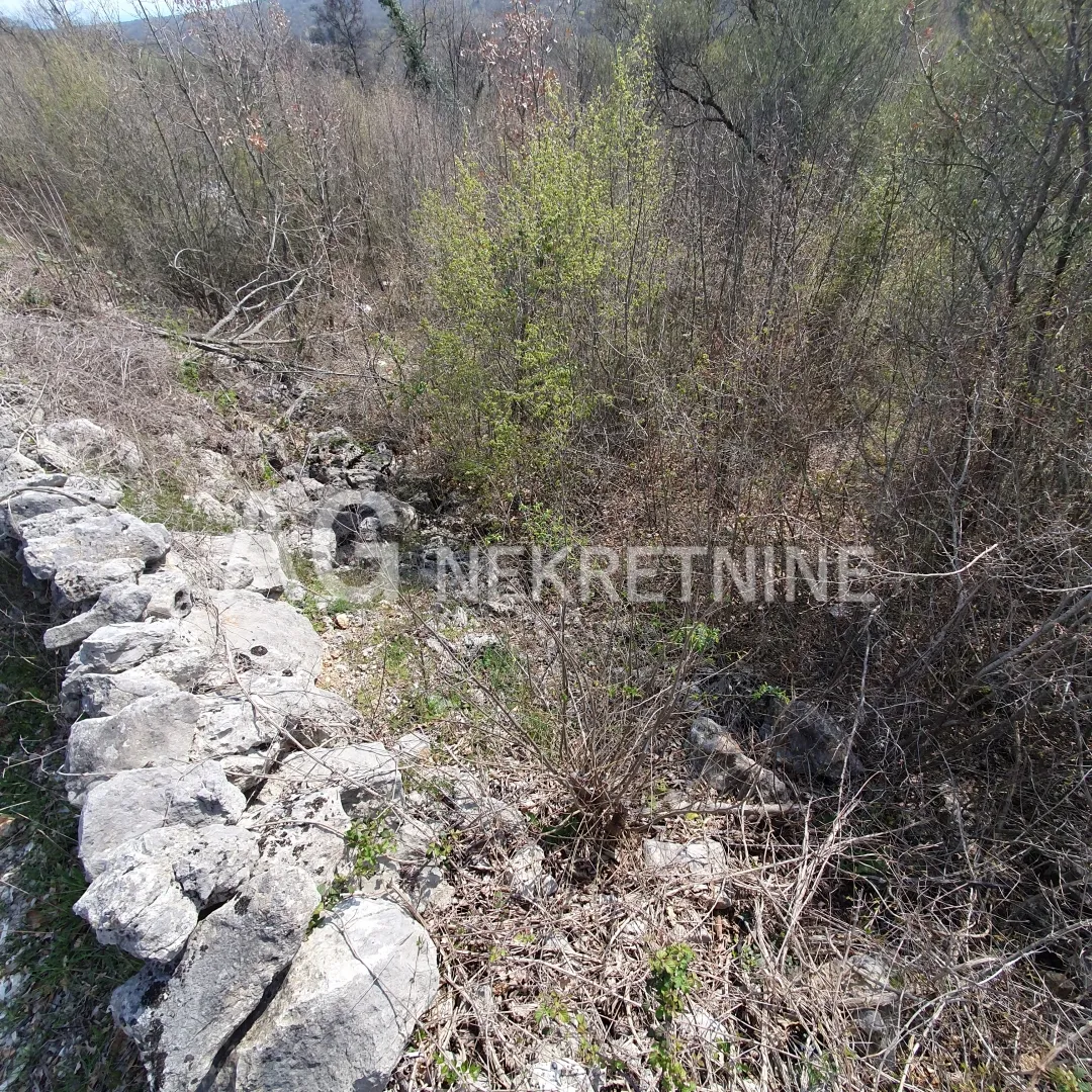 krk, vrh, prodaja poljoprivrednog zemljišta, maslinik - slika 2