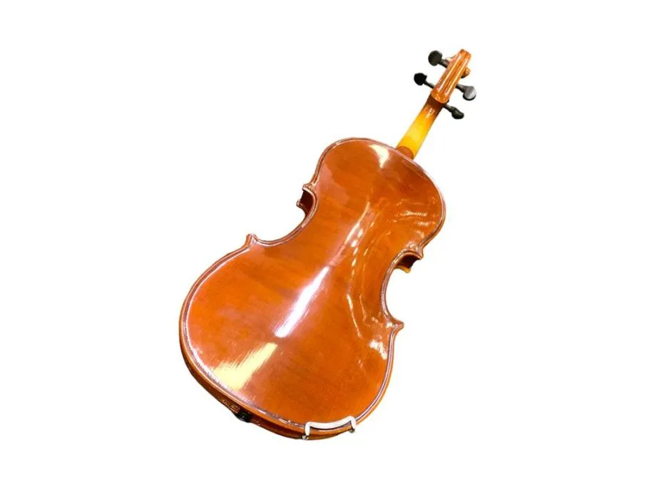 violina s gudalom / r1, rate! - slika 4