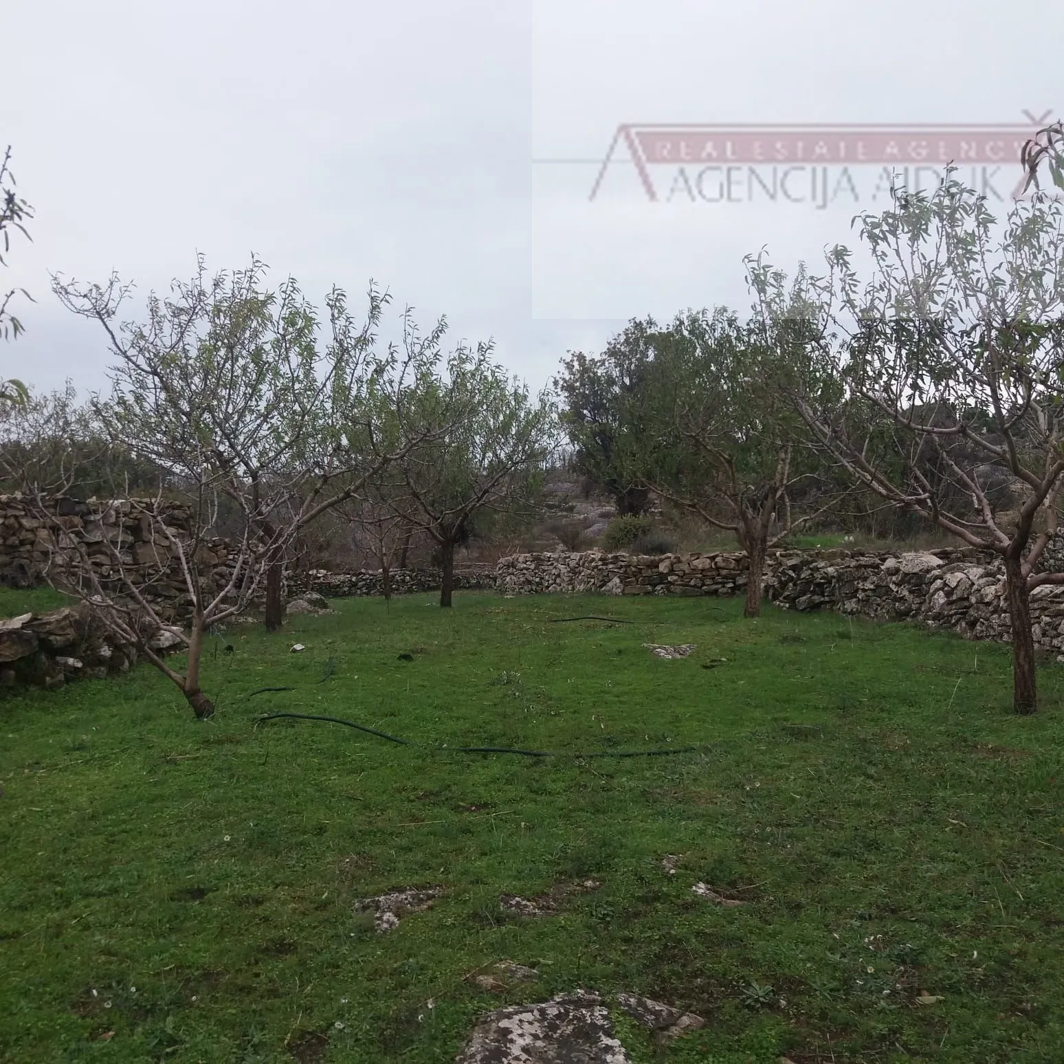 brač donji humac 10630 m2 sa objektom - slika 6