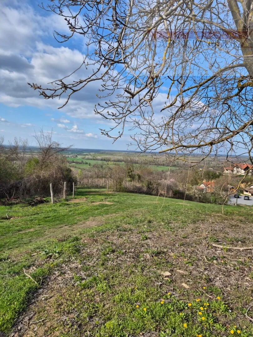 draž obiteljska vinarija sa stambenim dijelom 766 m2 na 1,7ha - slika 13