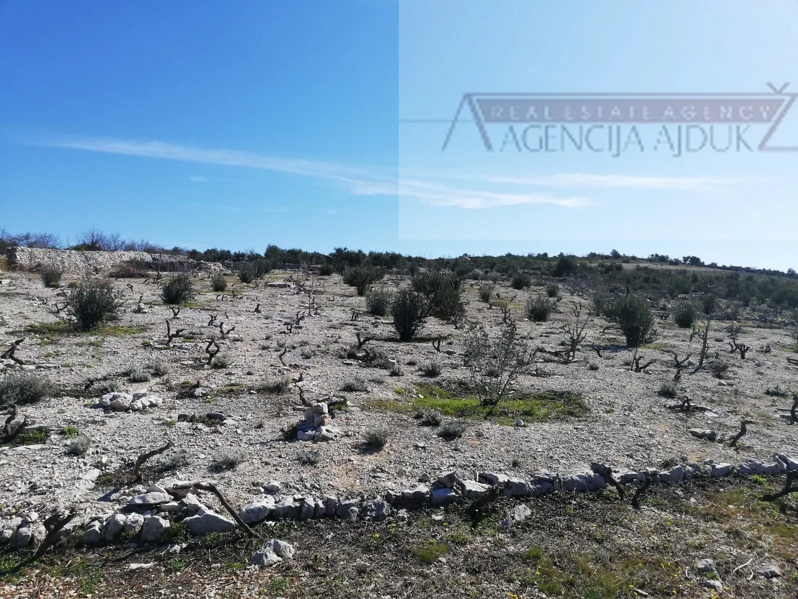 šibenik rogoznica 5636 m2 sa kućicom, pogled na more! - slika 8