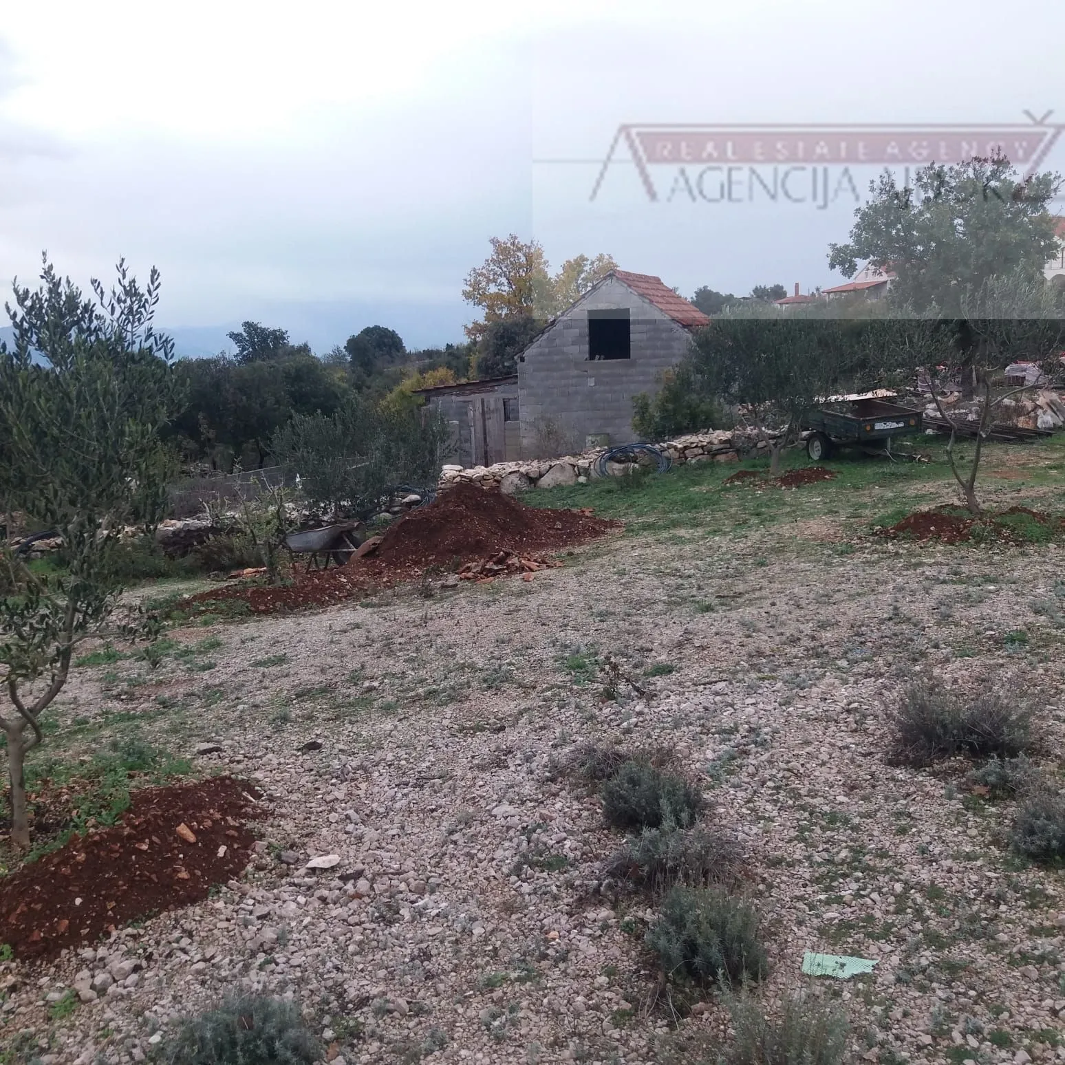 brač donji humac 10630 m2 sa objektom - slika 9