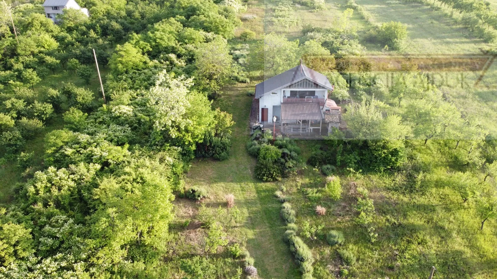 baranja draž planina vikendica 100 m2 na parceli od 6400 m2 - slika 2