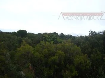 šolta - maslenica, poljoprivredno zemljište 26000 m2 - slika 2
