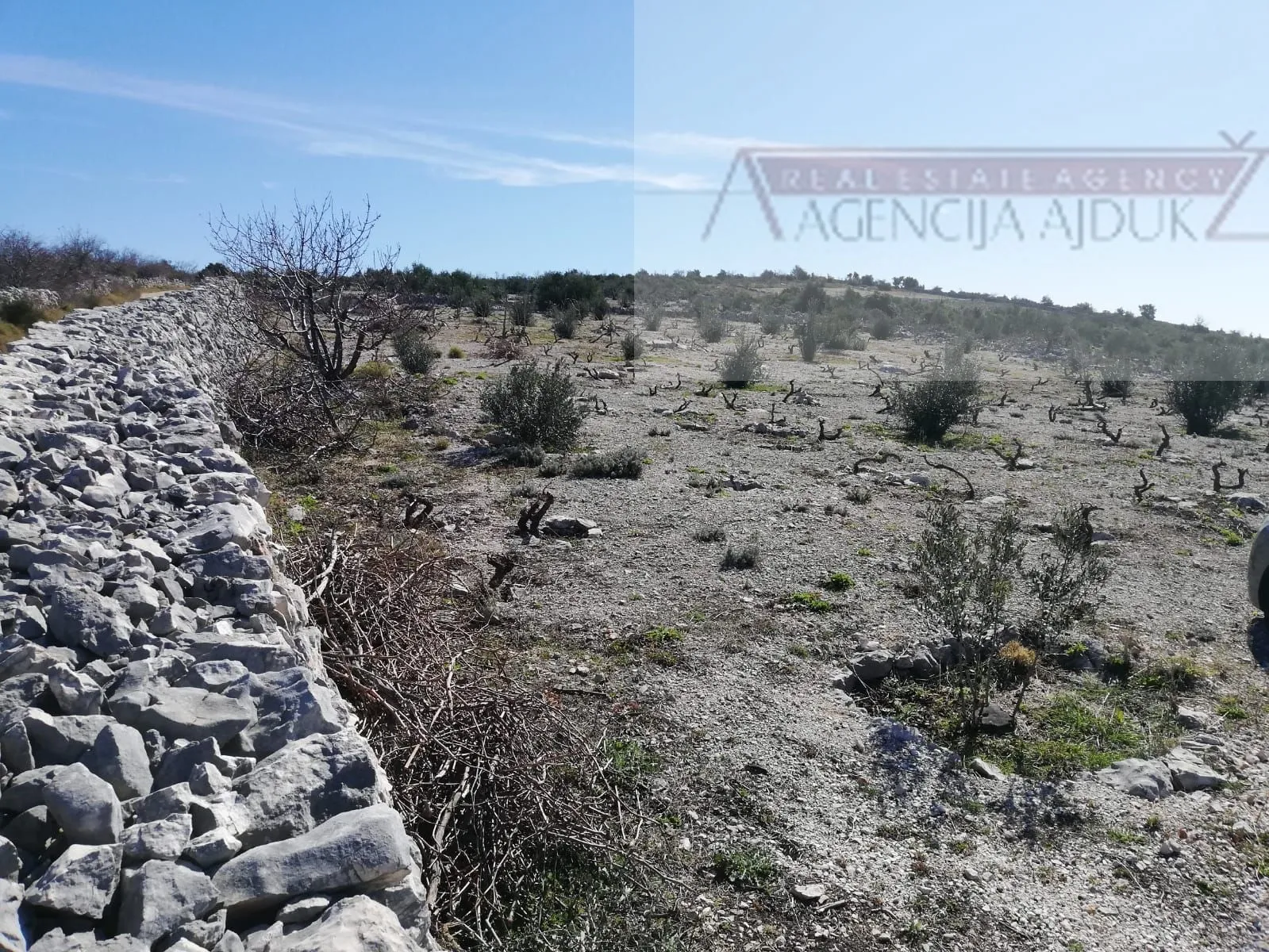 šibenik rogoznica 5636 m2 sa kućicom, pogled na more! - slika 2