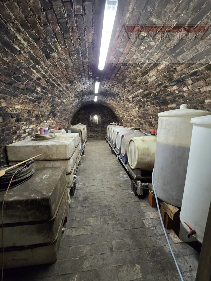 draž obiteljska vinarija sa stambenim dijelom 766 m2 na 1,7ha - slika 8